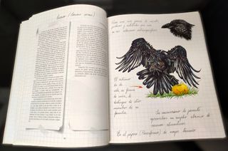 Cuaderno Campo Castilla y León Extremadura 1996