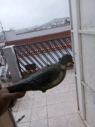 Paloma decorativa de plástico