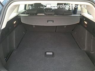 Ford Focus 1.0 Ecoboost MHEV 92kW Trend+ SB