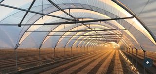 Invernadero túnel agrícola