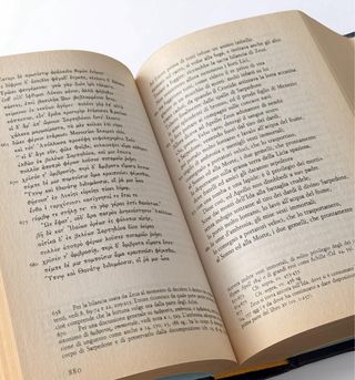 Omero-Iliade Volume II- ottime condizioni