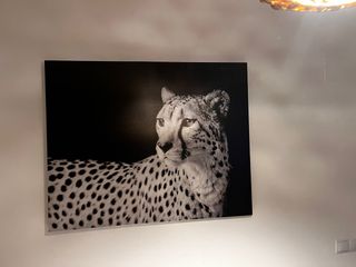Cuadro Leopardo 80x100 cm