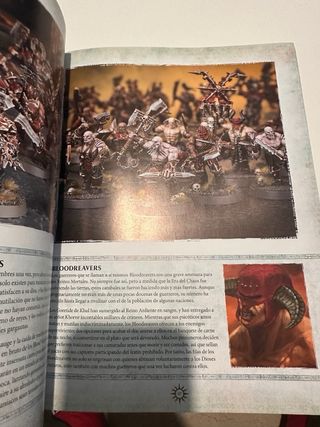 Libro de reglas Thunder & Blood