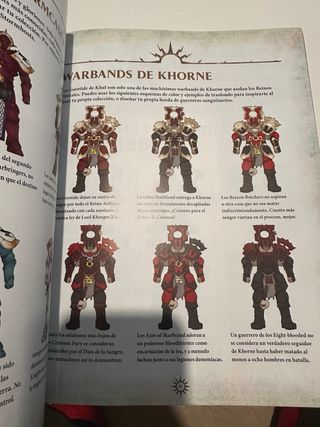 Libro de reglas Thunder & Blood