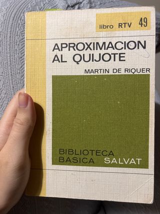 Aproximacion al quijote