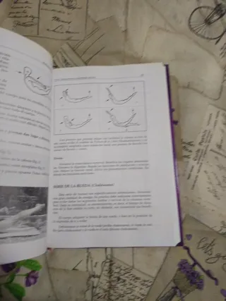 YOGA. Teoría, práctica y metodología aplicada