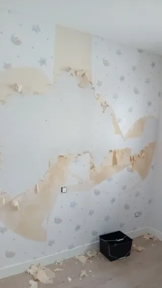 Empapelador pintor profesional