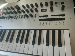 Korg Minilogue Sintetizador Analógico