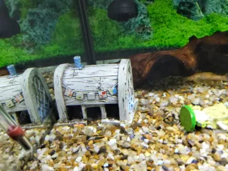 Acuario completo con decoración