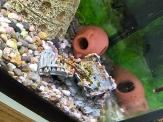 Acuario completo con decoración