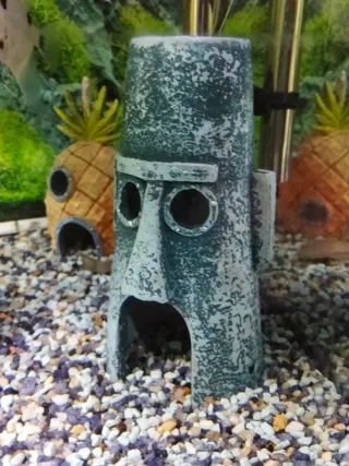 Acuario completo con decoración