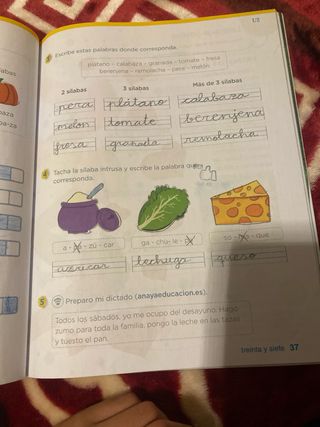 Libro de lengua primer trimestre de 2 de primaria