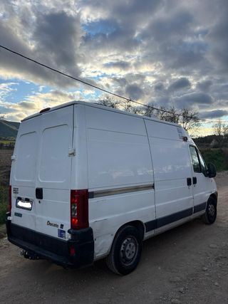 FIAT DUCATO frigorifico