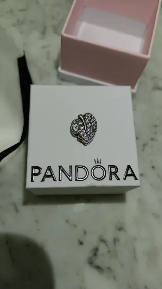 Charm Pandora Reflexions.