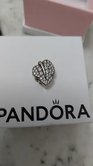 Charm Pandora Reflexions.