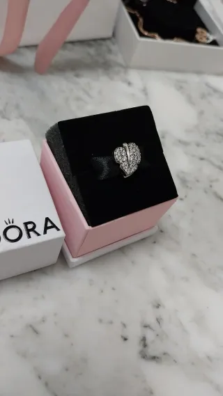 Charm Pandora Reflexions.