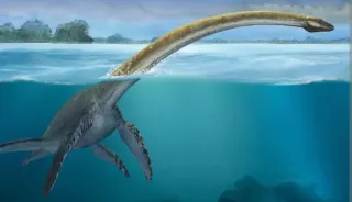 Precioso Plesiosaurio de latón macizo DETALLES