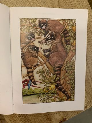 Anaconda Y Otros Cuentos N/c (Spanish Edition)