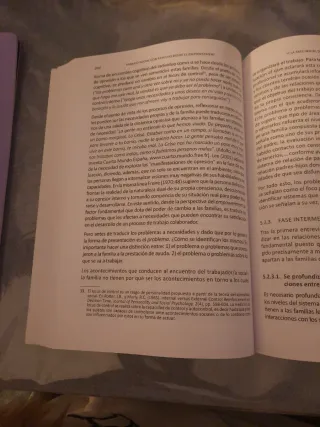 Trabajo Social con Familias desde el empowermen...