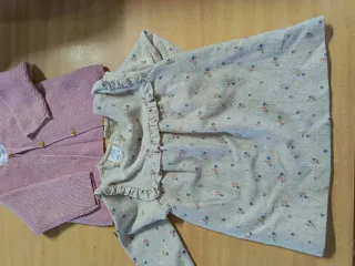 Lote 10 vestidos niña Zara 9-12 meses .