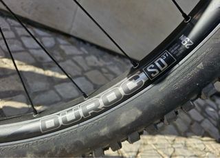 Transition Sentinel 2019  Negociable/cambio TallaL