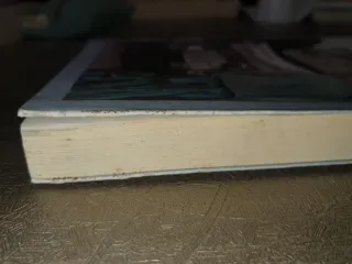 Ladrones de vidas (Literadura) (Spanish Edition)