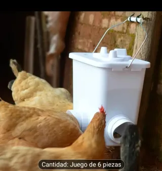 Comedero Automático Aves Corral