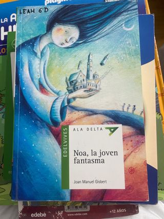 Noa, la joven fantasma (Spanish Edition)