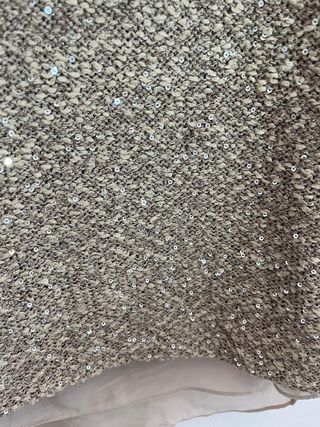 Jersey Lentejuelas y Gasa Beige y Dorado/Champán