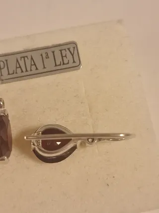 Pendientes Plata 1ª Ley con Granate Thomas Sabo
