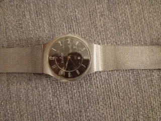 Reloj Skagen Gris/Plateado