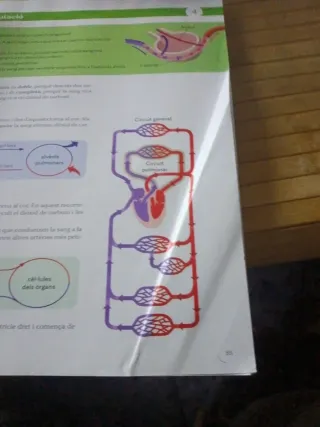 BIOLOGIA I GEOLOGIA 3 SEC CONSTRUINT MONS