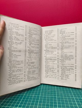 Los seres vivientes – Lino Vaccari