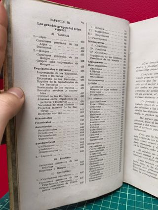 Los seres vivientes – Lino Vaccari