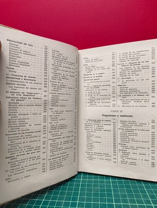 Los seres vivientes – Lino Vaccari