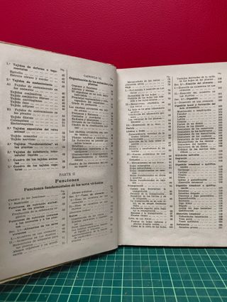 Los seres vivientes – Lino Vaccari