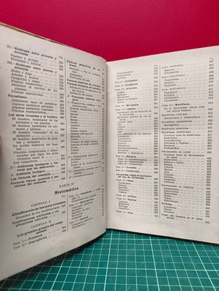 Los seres vivientes – Lino Vaccari