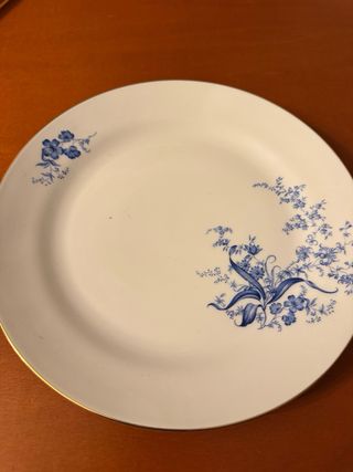 Piatto Richard Ginori Porcellana Blu Floreale