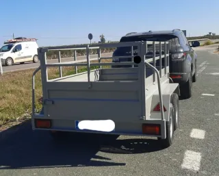 210x130 remolque con barandillas doble eje