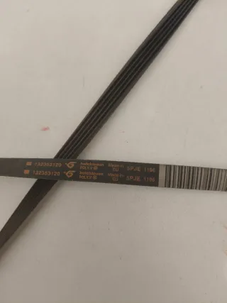 Cinghia Hutchinson Poly.V 5PJE 1196