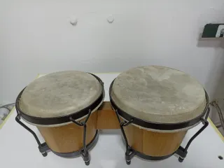 Bongos Instrumento Musical