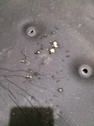 Manta térmica capó BMW F30