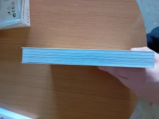 Chobits manga edición integral