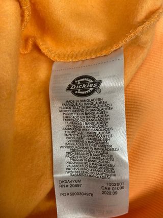 Sudadera Dickies Naranja