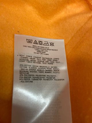 Sudadera Dickies Naranja