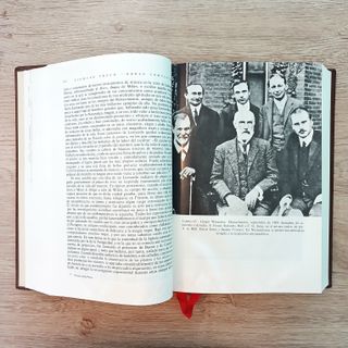 OBRAS COMPLETAS. SIGMUND FREUD.