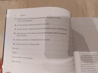 El camino del mindfulness. Plan de 8 semanas.