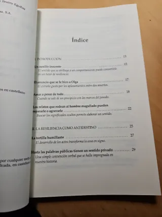 El amor que nos cura