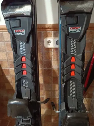 Sci Blizzard Firebird WRC di alta gamma