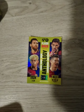 Panini Flashback Anthology 2025/26